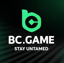BC App Revolutionizing Crypto Gaming Experience